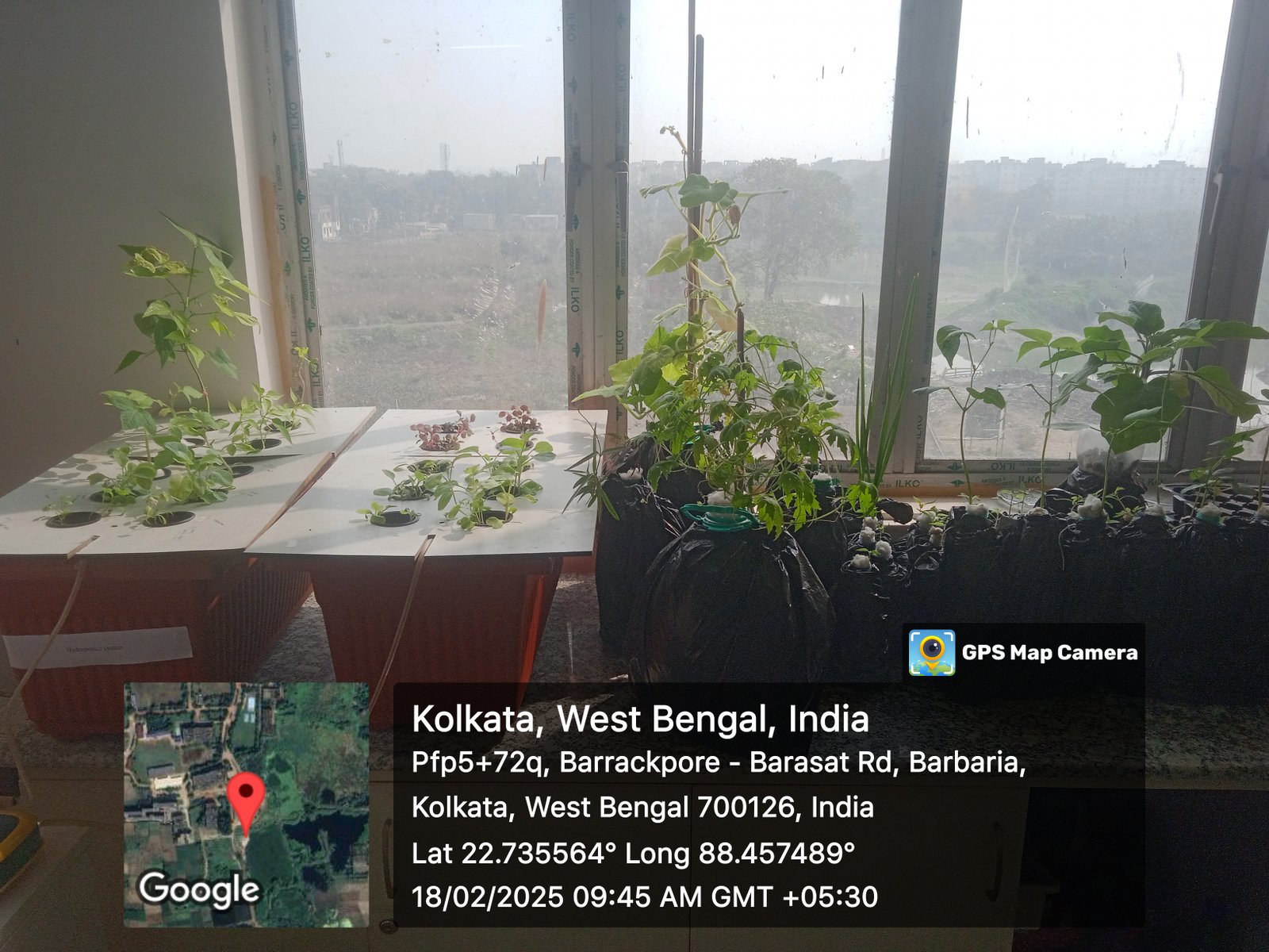 Hydroponics System at ARDC